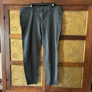 Liverpool Petite Pants